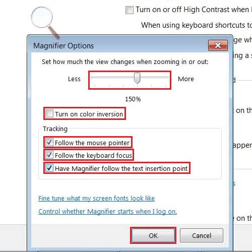 Change the magnifier options