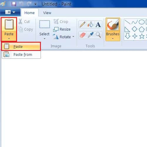 Using the Paste option in Paint