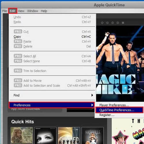 Go to Quick Time preferences