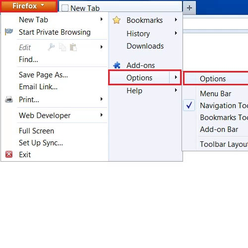 Go to Mozilla Firefox options