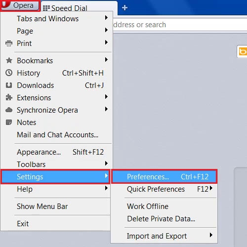 Go to the Opera Preferences