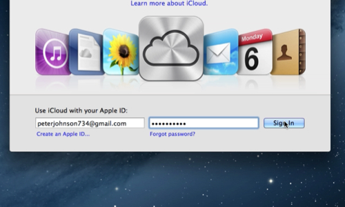 Enter your Apple ID