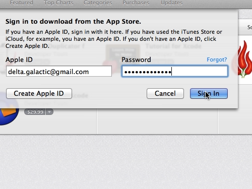 Sign in with your Apple ID