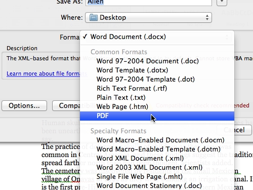 how to convert pdf to word on mac free