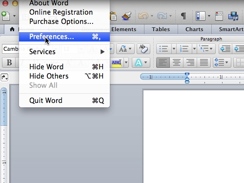 what are the file permissions of a word document in mac