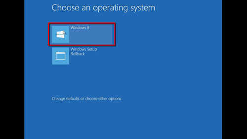 Selecting Windows 8 as the operating system