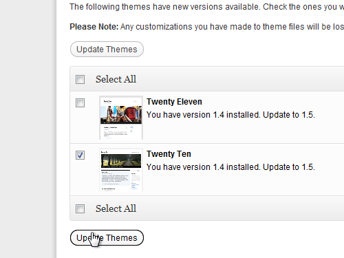 Click the Update themes