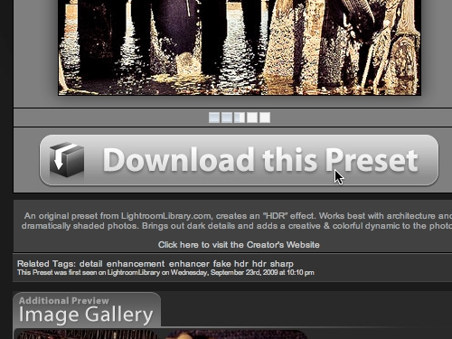 Start downloading the preset