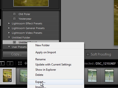 copy develoment setting from photo to movie in lightroom