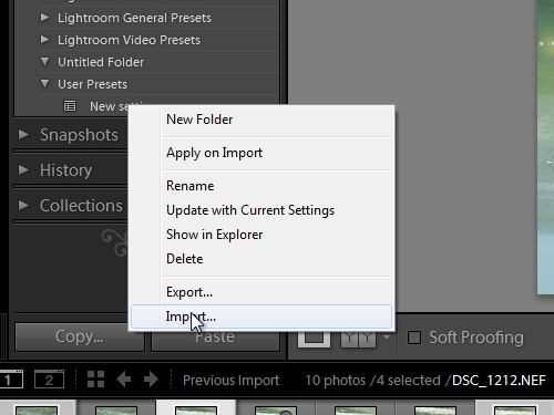 Import the new preset in the collection