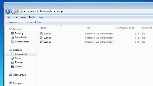 microsoft word zip