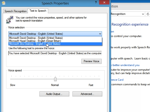 voice to text on windows 8