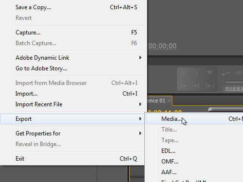 adobe premiere pro cs5 export settings