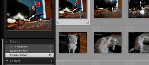 select the photos you want to export