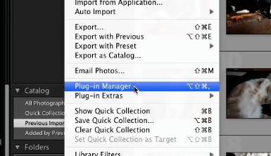 Select the plugin manager