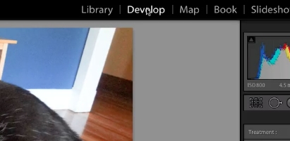 open a photo within the develop module