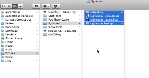 move your catalog into the lightroom folder by copying it from your PC to your Mac