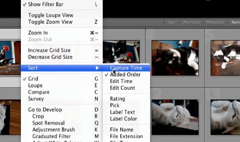 click on view > sort > capture time in the menu