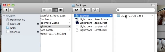 Find the folder with your backups