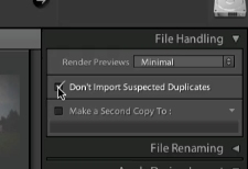check ‘Don’t import suspected duplicates’