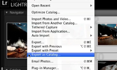 Export as Catalog to display the Export as Catalog Dialog box