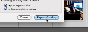 Click export catalog to export