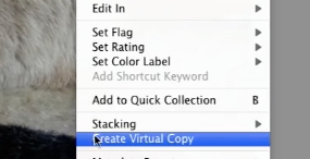 select create a virtual copy