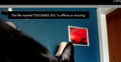 Lightroom may tell you the file is offline or missing