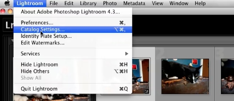 click on Lightroom and Catalog Settings...