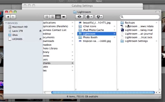 Locate the catalog folder using the “General tab” and then Close lightroom