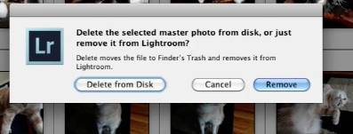 This will remove the photo from the catalog but not from the disk unless you choose that option