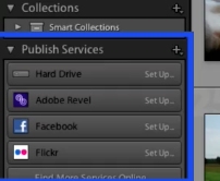 locate the Publish Services panel on the left side