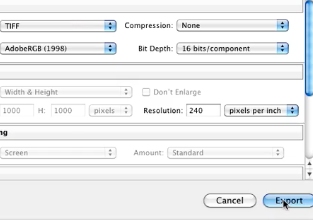 choose your preferred settings and click on export