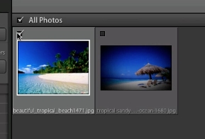 check the box next to each photo you want to import