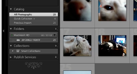 Export lightroom to flickr by clicking on the Library section of Lightroom