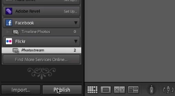 Click Publish and the photos will upload to your account