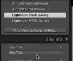 specifics of the gallery can go in the gallery layout box