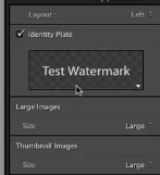 watermarks may be added in the watermark section