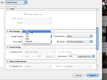 select JPEG from import format under file settings