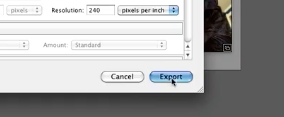 click on export