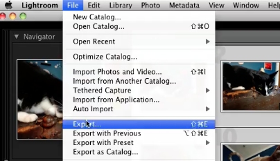 export ewallet go file