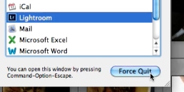 Select Lightroom out of the list of programs and click force quit