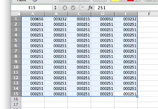 Leading zeros will now be in front of all of your cells