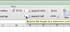 scaling print in excel for mac
