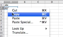Copy A2 by right clicking
