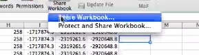 Select share workbook again