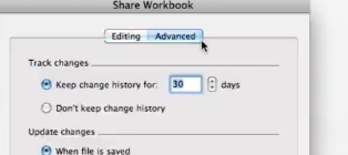 Click the Advance tab in the share workbook window