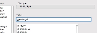 input yyy/m/d in the box to the right and click OK