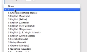 select what type of currency