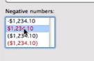 select how negative numbers will be displayed